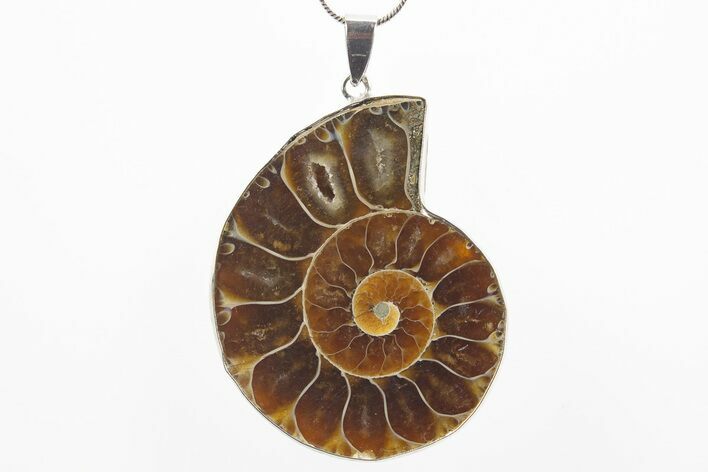 Fossil Ammonite Pendant - Million Years Old #306464